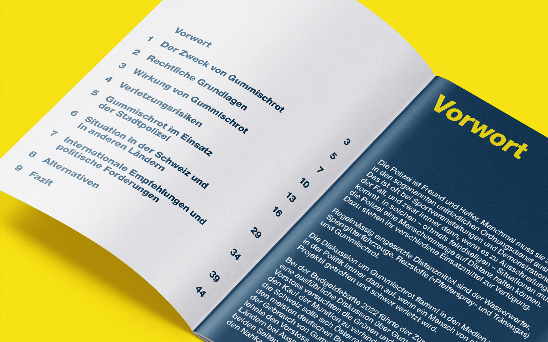 Gummischrot Bericht 2025 des Sicherheitsdepartement Stadt Zürich Online PDF
