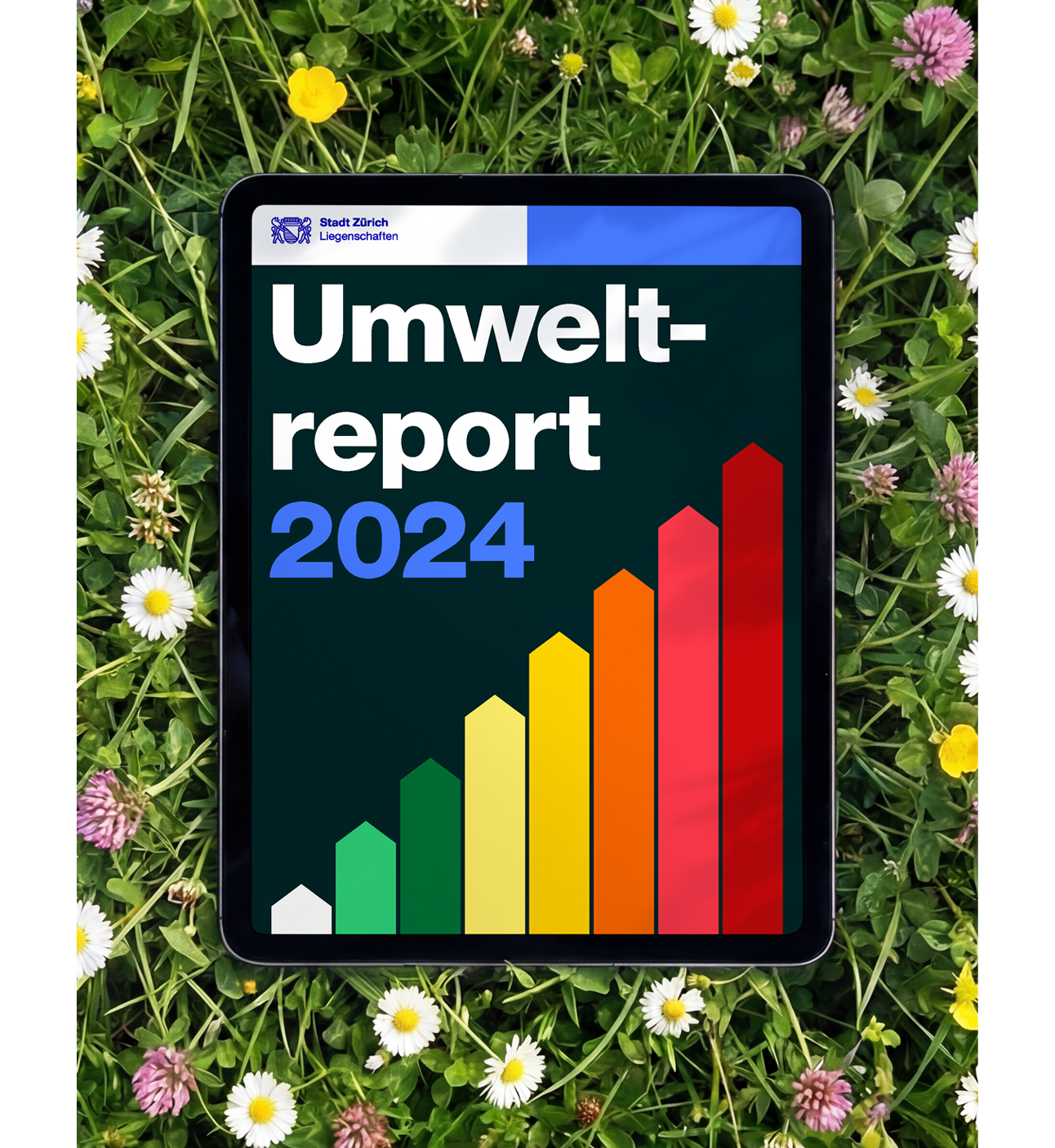 00 tbs lsz vorschau hoch 1